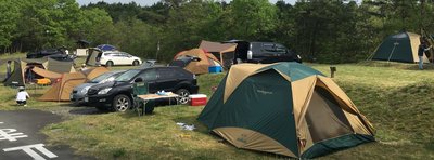 🌸 타케베 삼림 공원 (타케베노모리코엔)